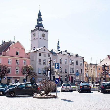 Super Komfortowe Mieszkanie - Mtb Narty Gory Sowie Dzierżoniów Dış mekan fotoğraf