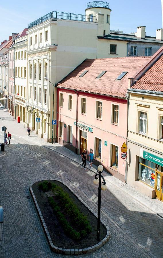 Super Komfortowe Mieszkanie - Mtb Narty Gory Sowie Dzierżoniów Dış mekan fotoğraf