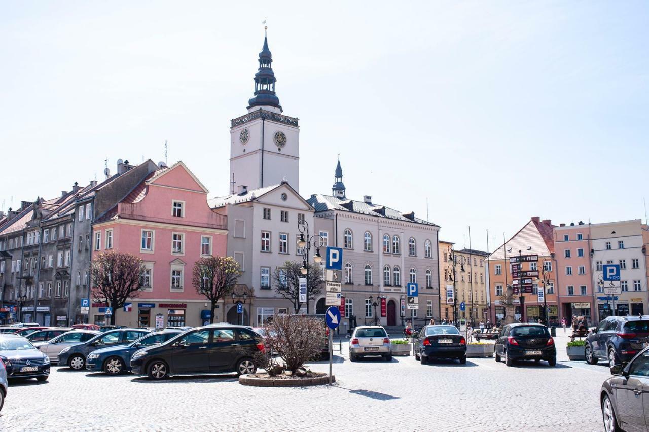 Super Komfortowe Mieszkanie - Mtb Narty Gory Sowie Dzierżoniów Dış mekan fotoğraf